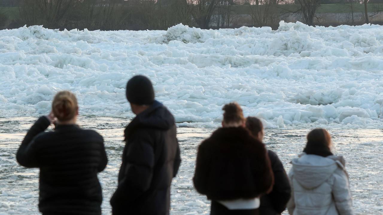 Mehrere Personen gucken sich Eisberge an.