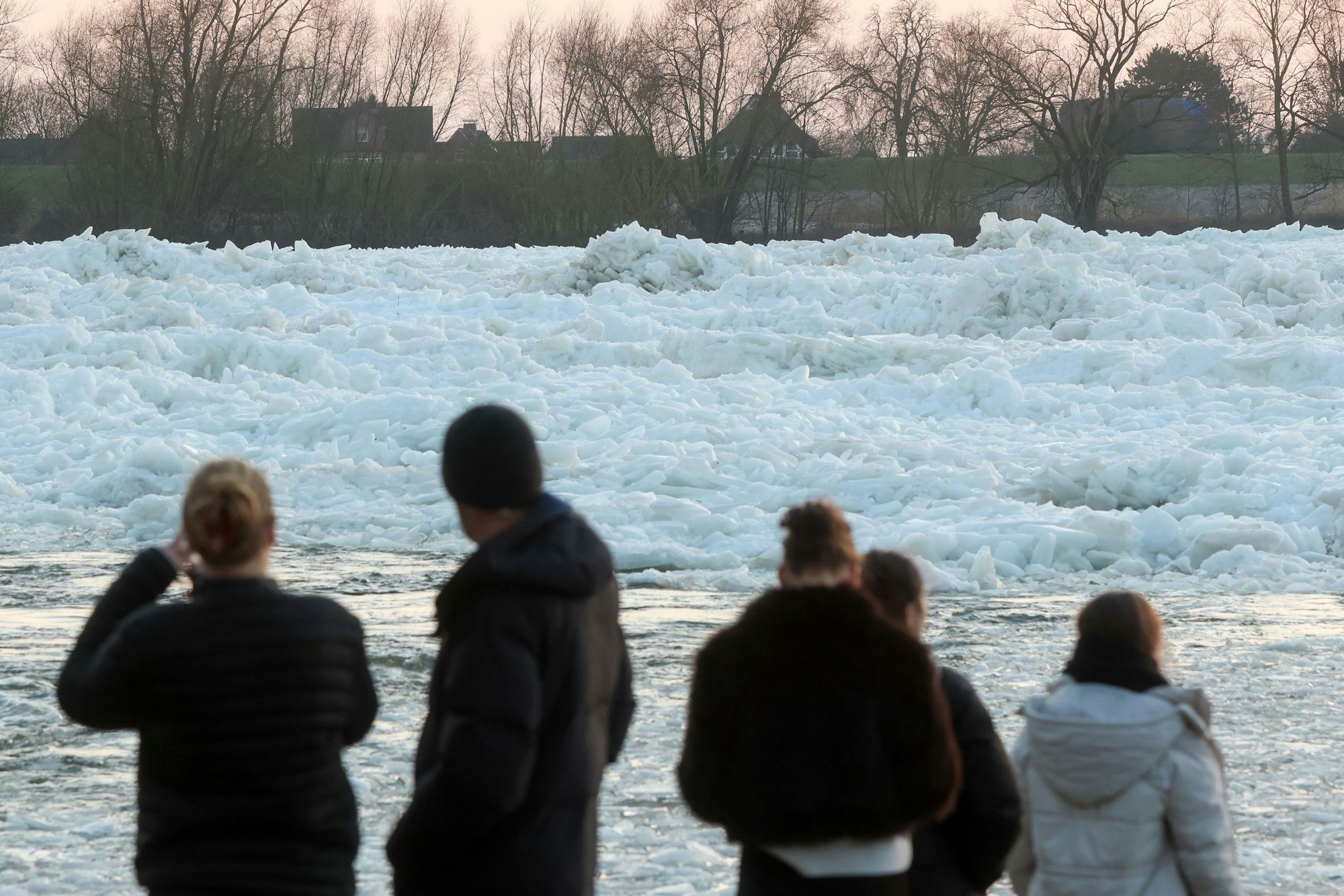 Mehrere Personen gucken sich Eisberge an.