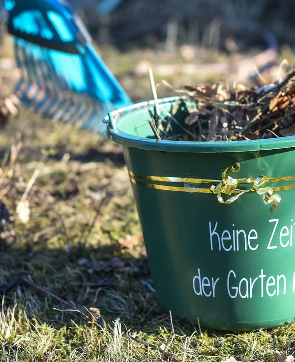 Ein Eimer mit der Aufschrift "Keine Zeit, der Garten ruft" ist mit Laub gefüllt und steht auf einem herbstlichen Rasenstück.