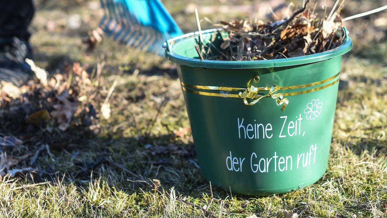 Ein Eimer mit der Aufschrift "Keine Zeit, der Garten ruft" ist mit Laub gefüllt und steht auf einem herbstlichen Rasenstück.
