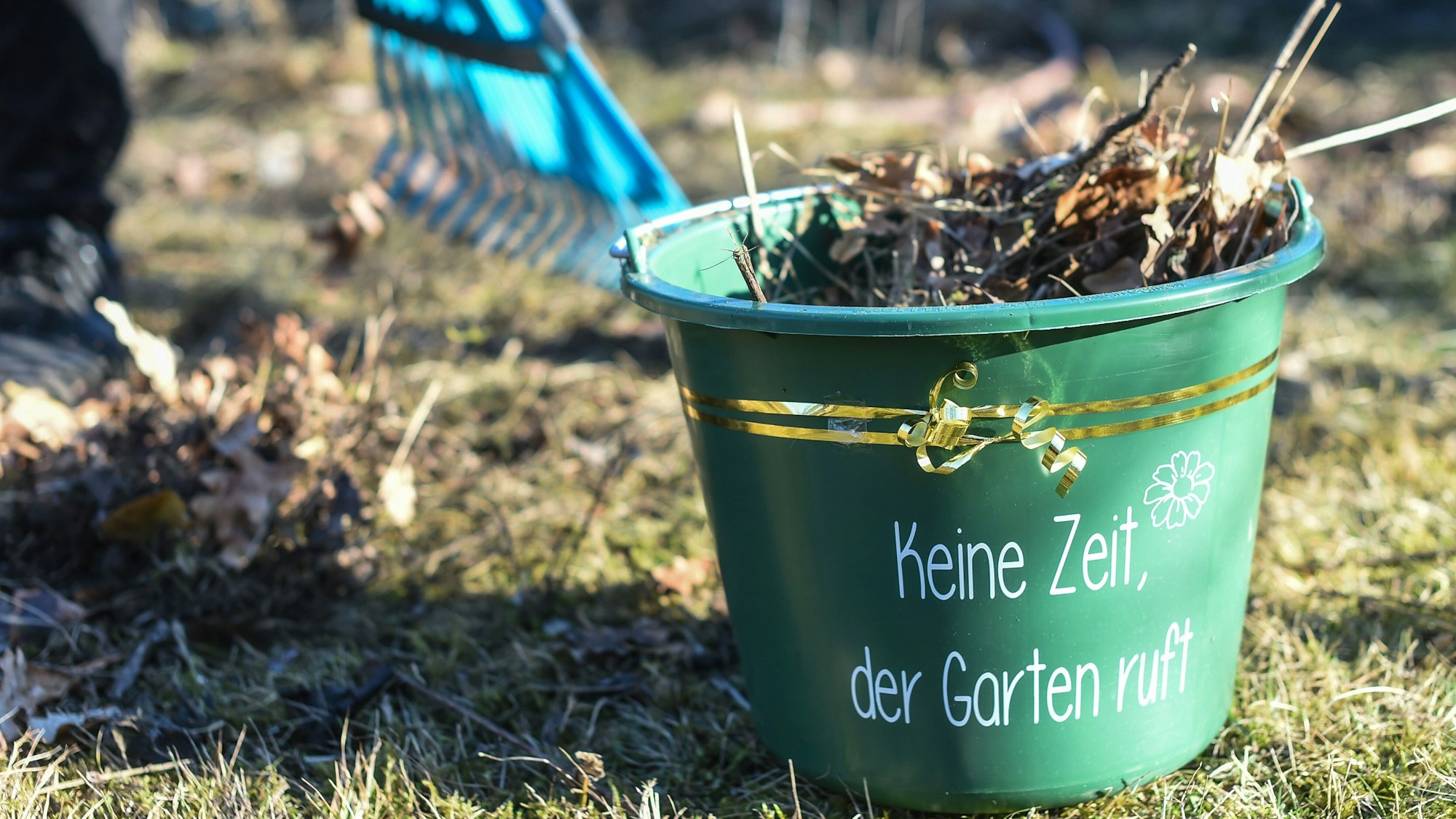 Ein Eimer mit der Aufschrift "Keine Zeit, der Garten ruft" ist mit Laub gefüllt und steht auf einem herbstlichen Rasenstück.