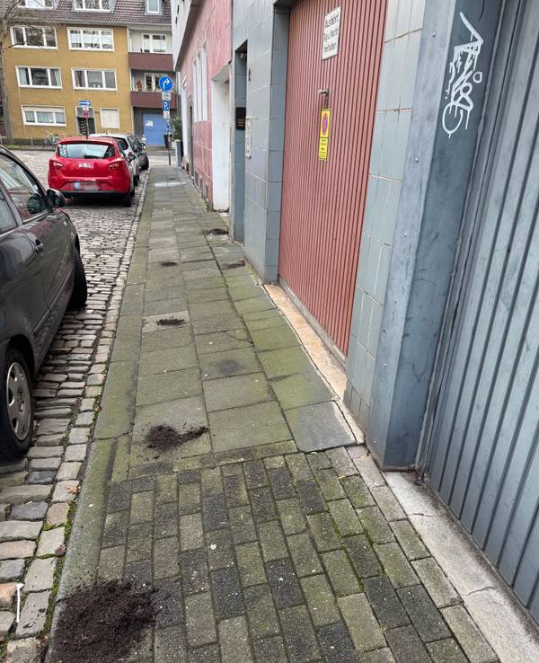 Erdhäufchen verteilen sich auf einem Gehweg vor Garageneinfahrten.
