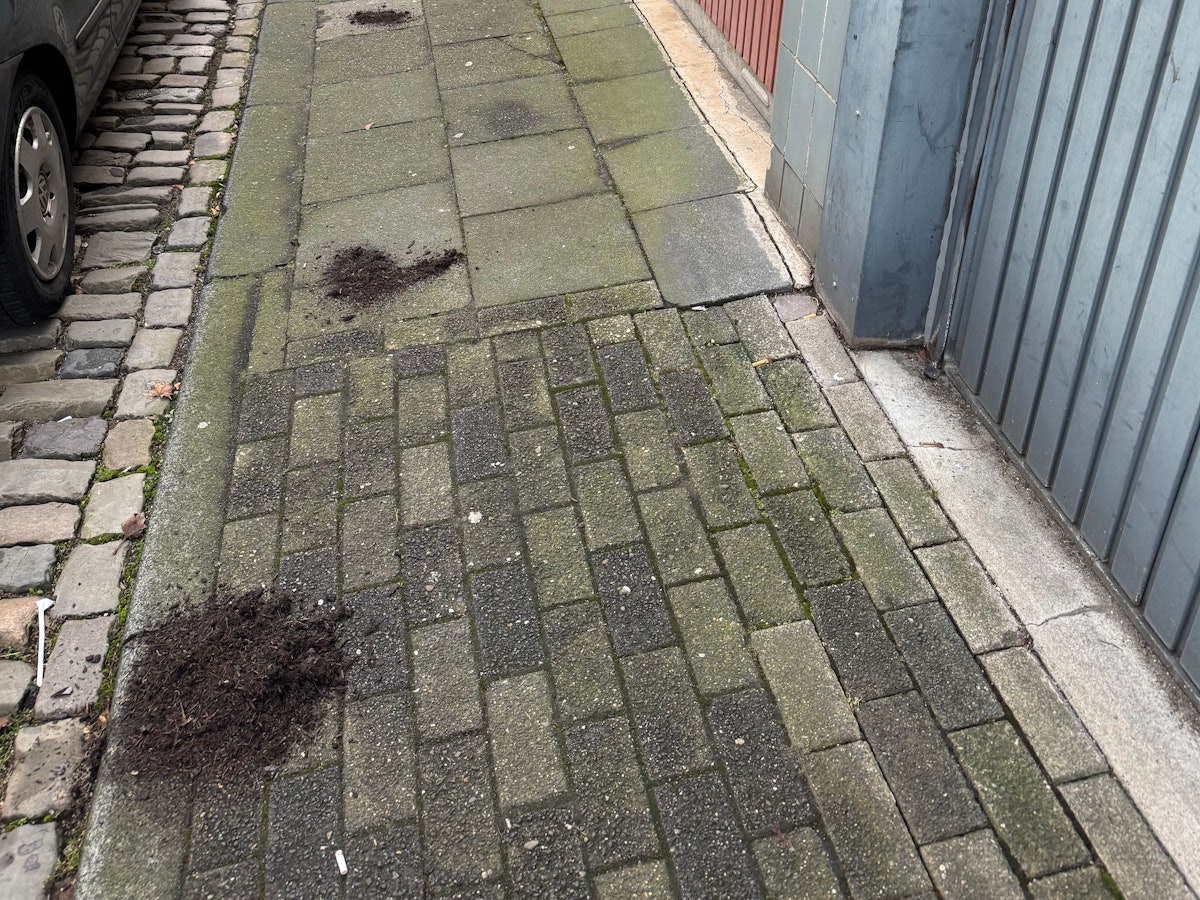 Erdhäufchen verteilen sich auf einem Gehweg vor Garageneinfahrten.