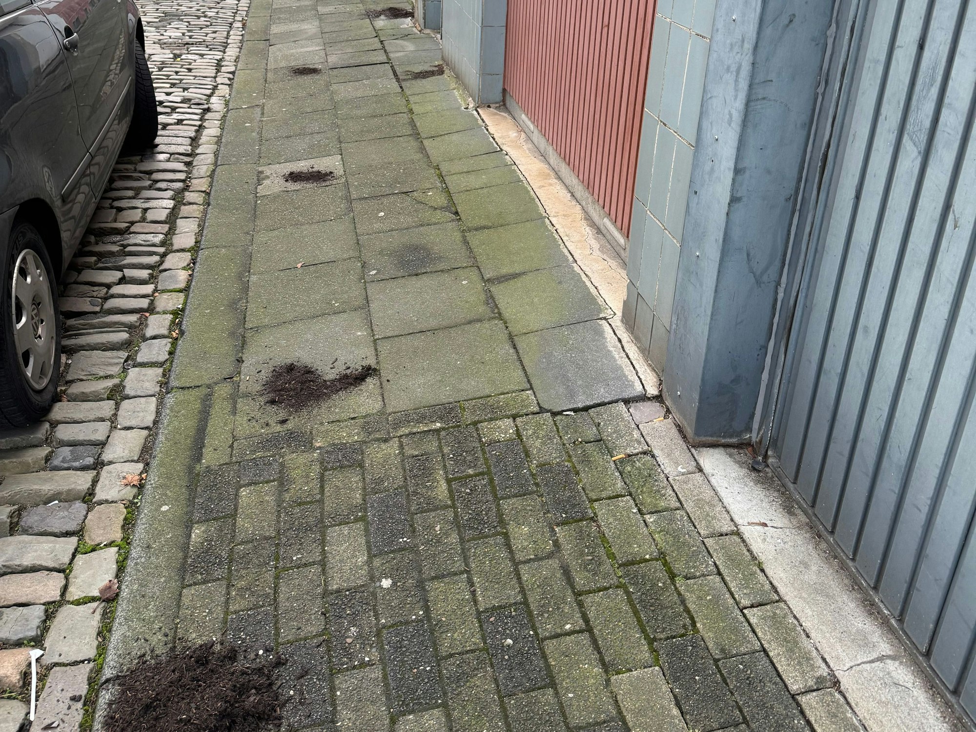 Erdhäufchen verteilen sich auf einem Gehweg vor Garageneinfahrten.
