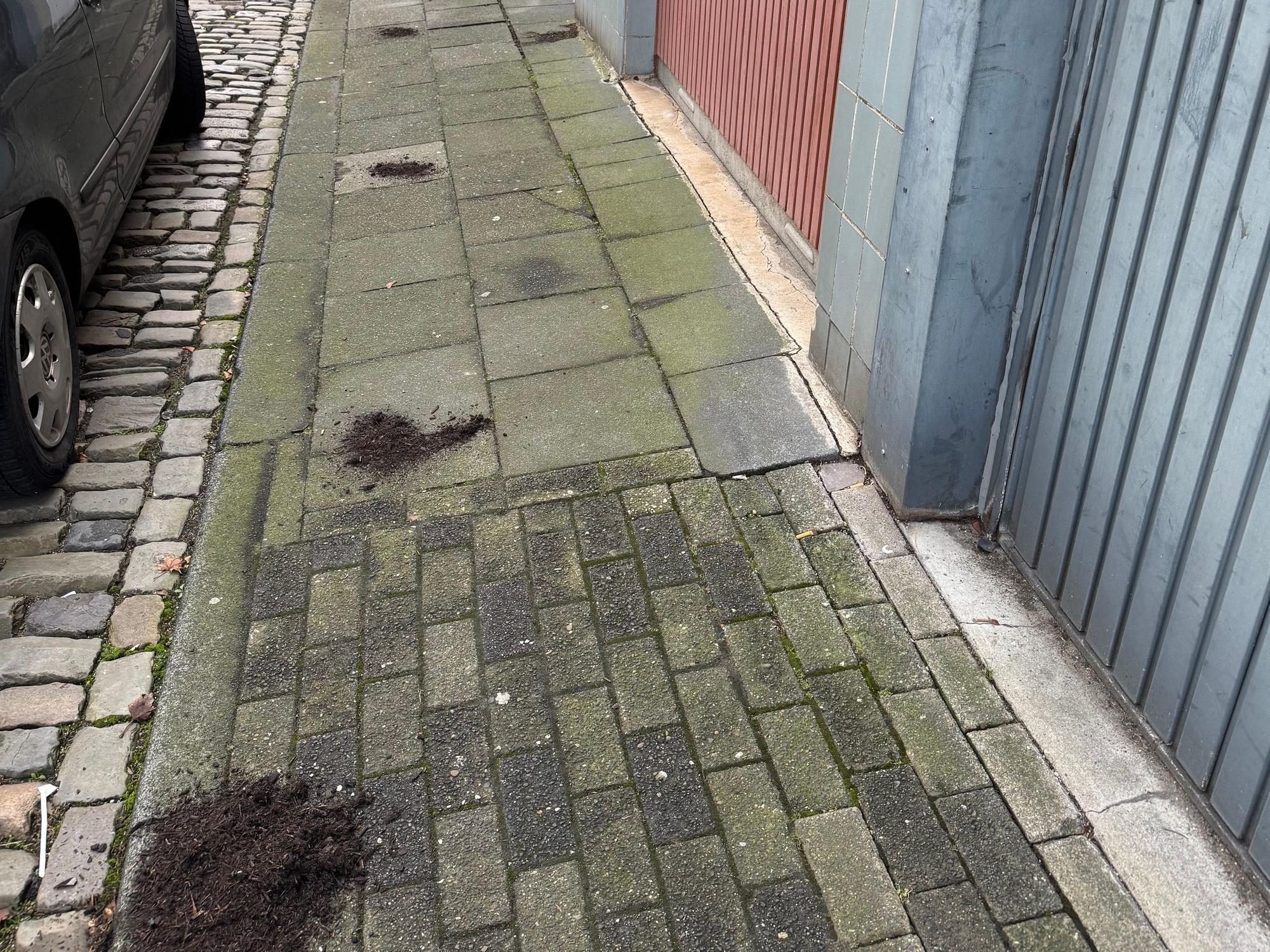 Mehrere Erdhaufen liegen auf einem Gehweg vor Garagentoren.