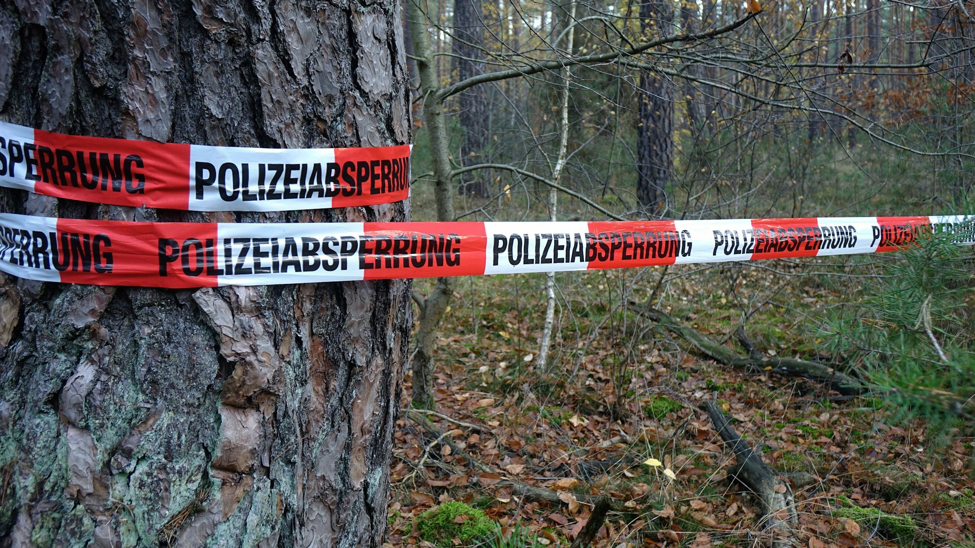 Absperrband der Polizei in einem Wald
