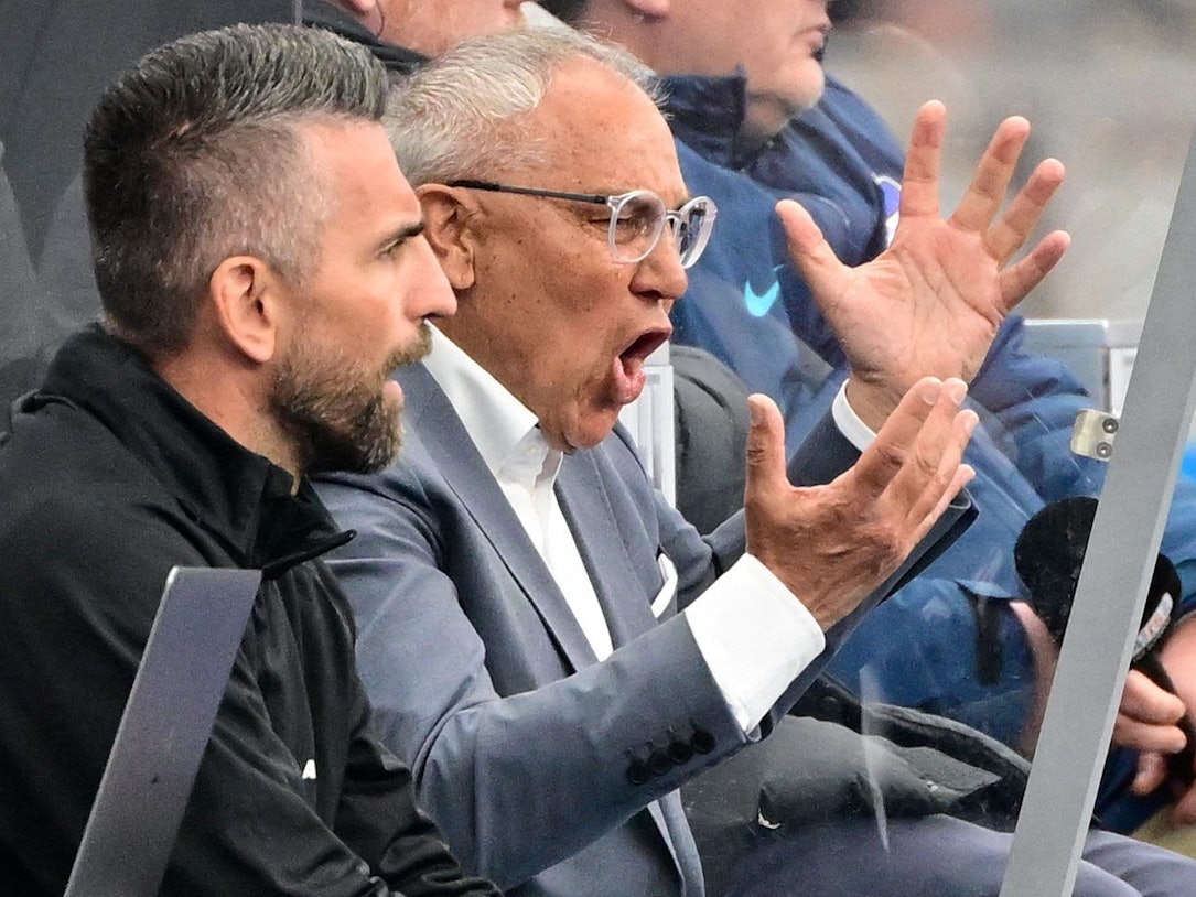 Vedad Ibisevic und Felix Magath nebeinander auf der Trainerbank. Magath regt sich auf.