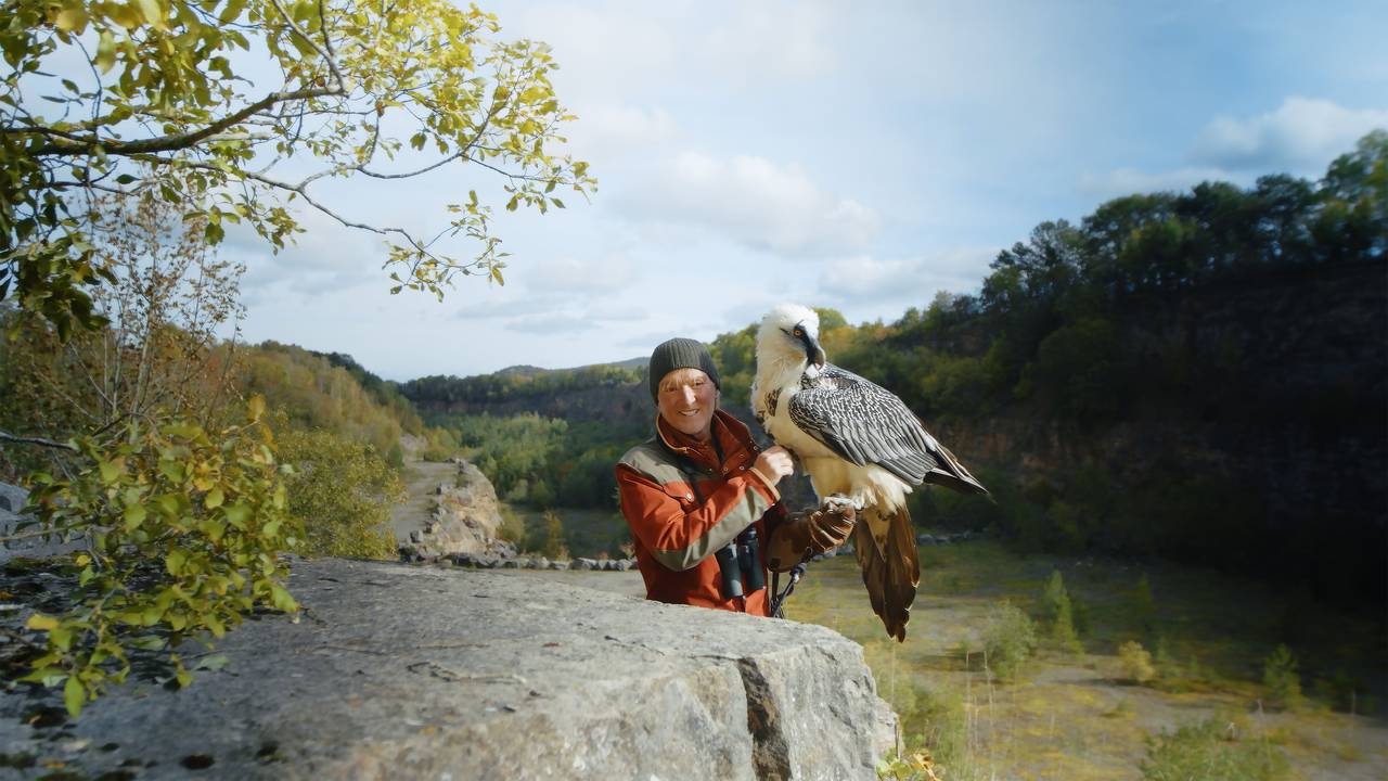 Andreas Kieling steht mit einem Bartgeier in einem Steinbruch in der Eifel.
