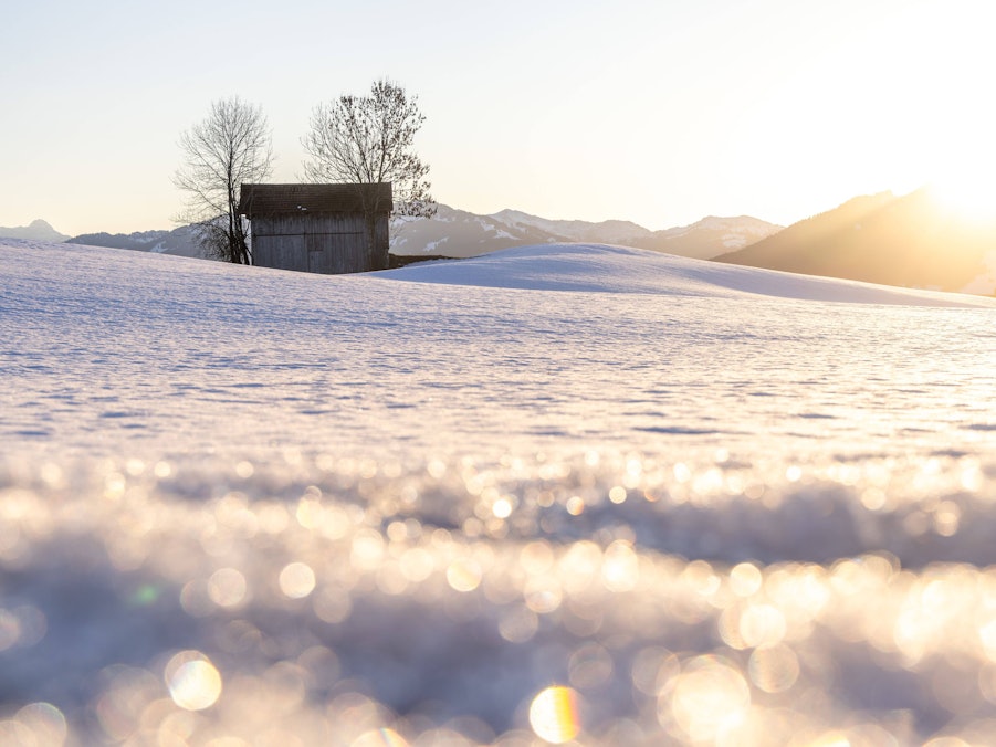 Glitzernde Schneelandschaft in der Wintersonne