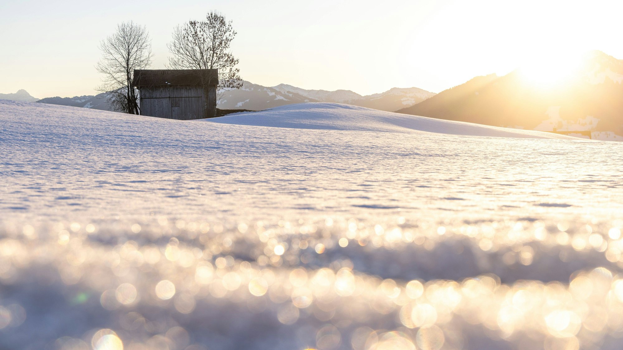 Glitzernde Schneelandschaft in der Wintersonne