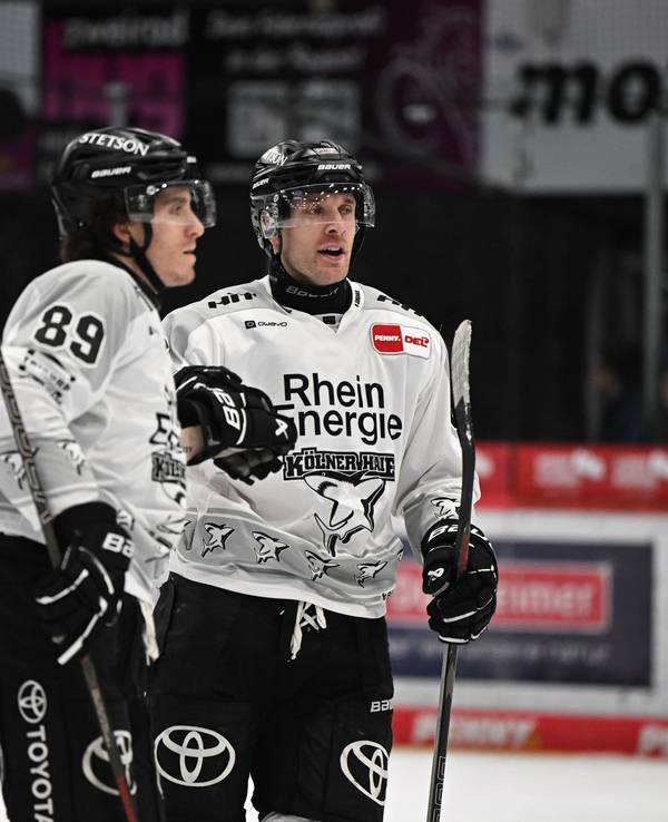 Spieler der Kölner Haie klatschen sich ab.