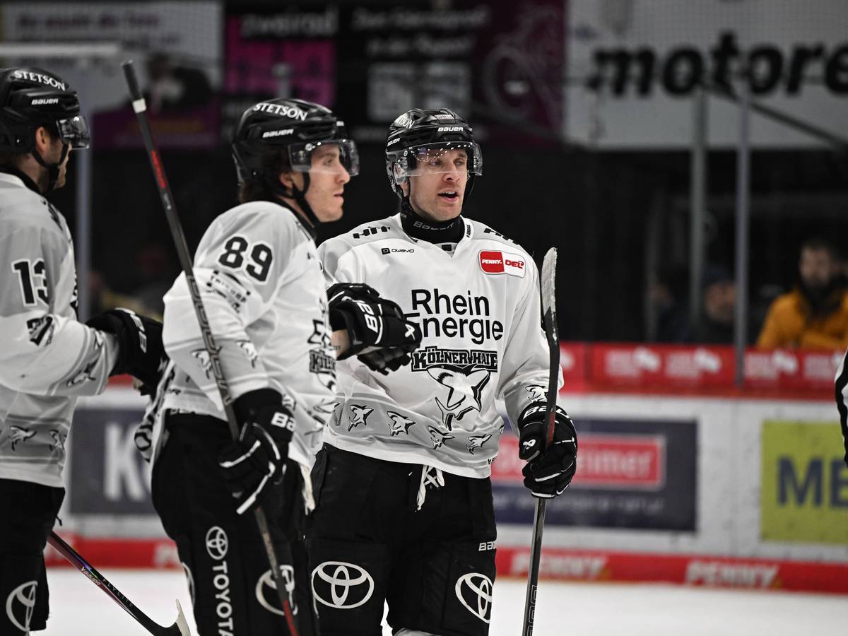 Spieler der Kölner Haie klatschen sich ab.