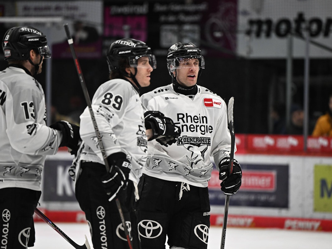 Spieler der Kölner Haie klatschen sich ab.