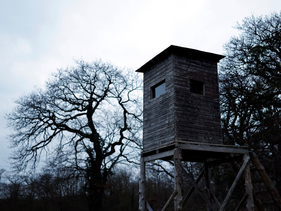 Ein Hochsitz in der Natur