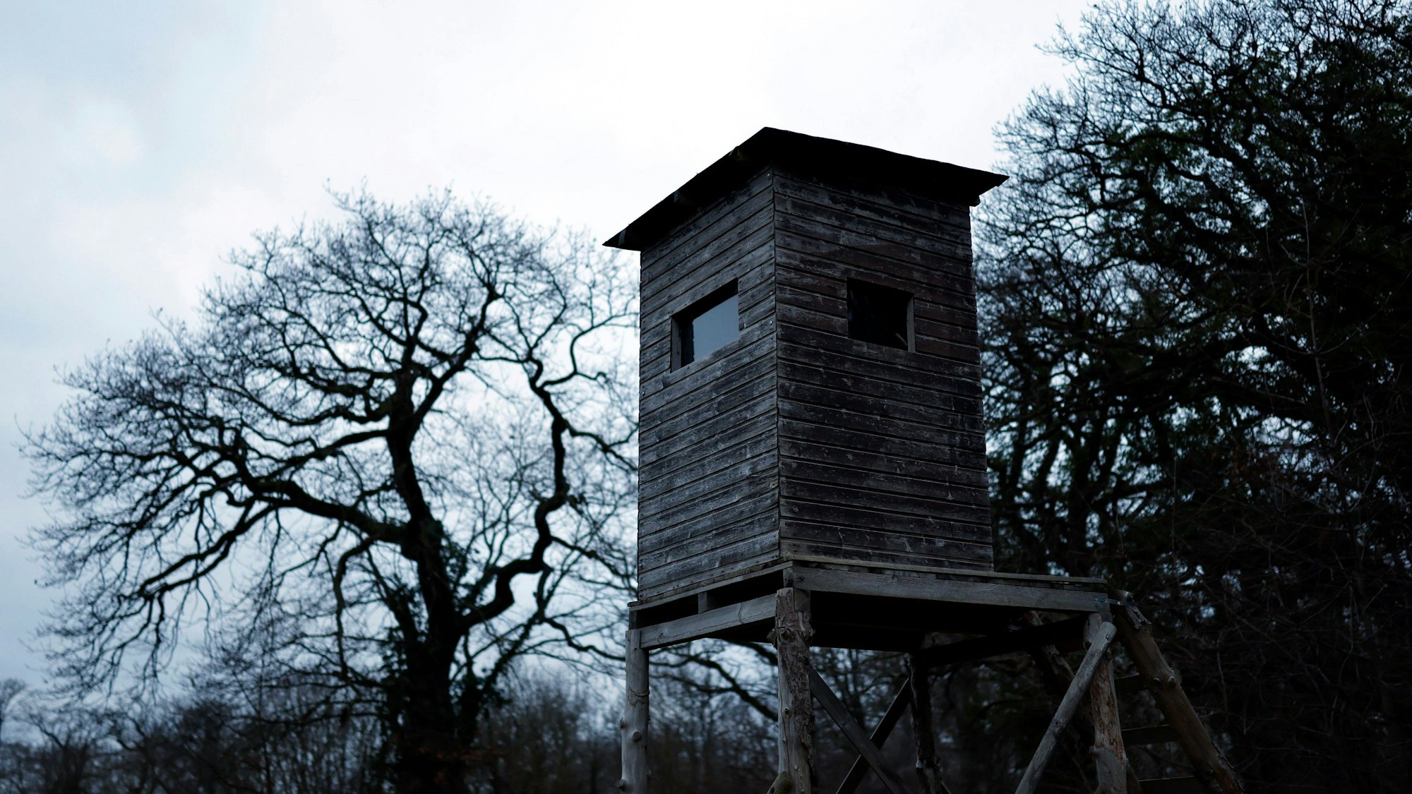 Ein Hochsitz in der Natur