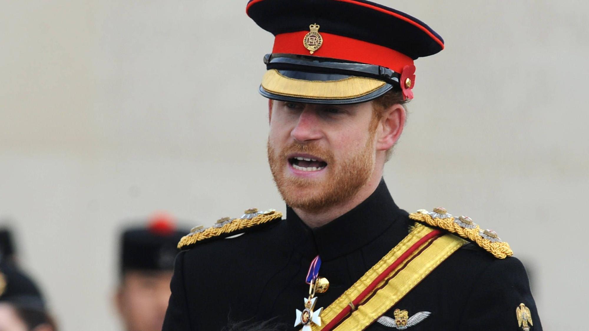 Prinz Harry redet.