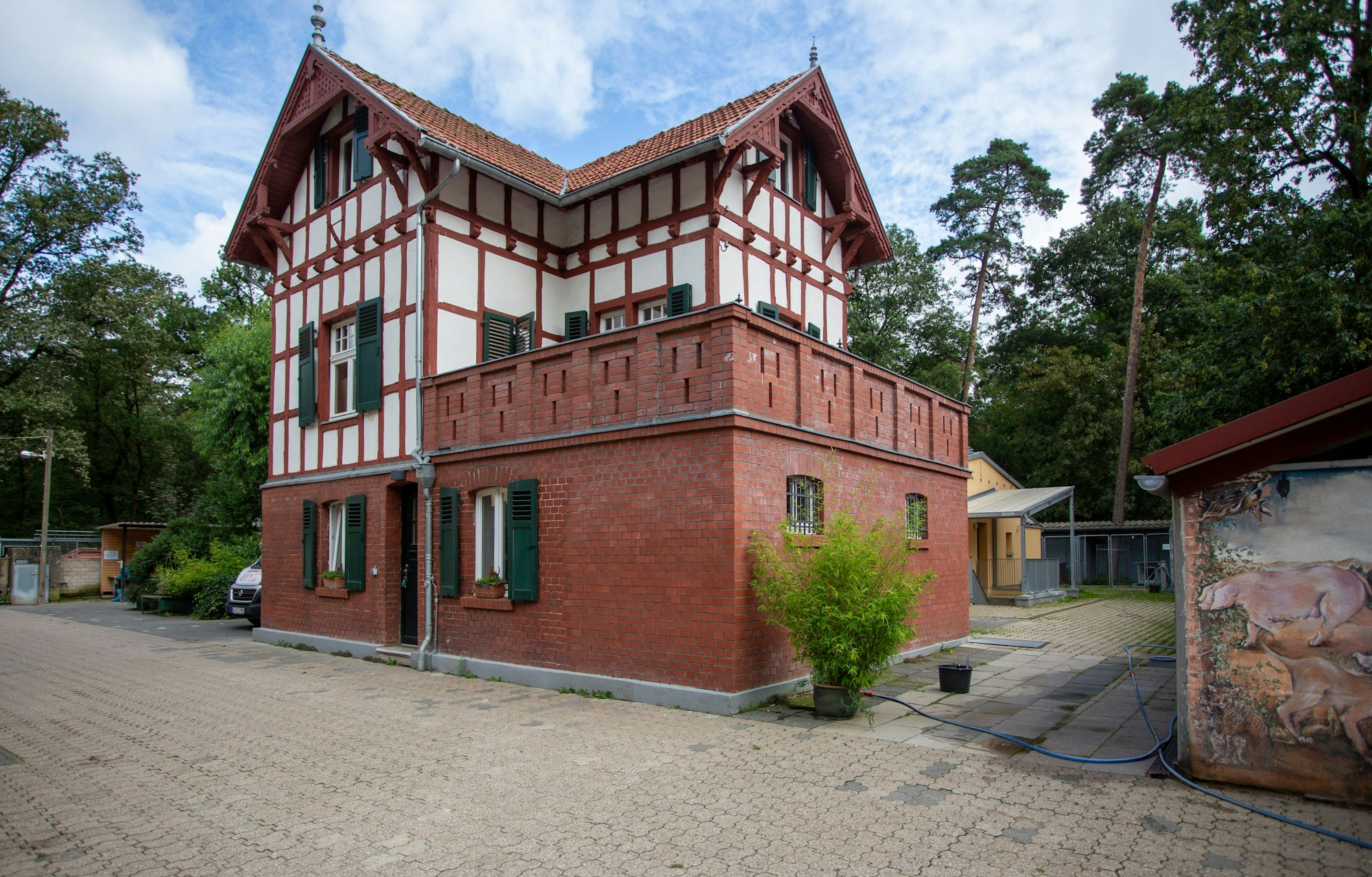 Das Tierheim in Dellbrück: Der Platz reicht einfach nicht mehr aus.