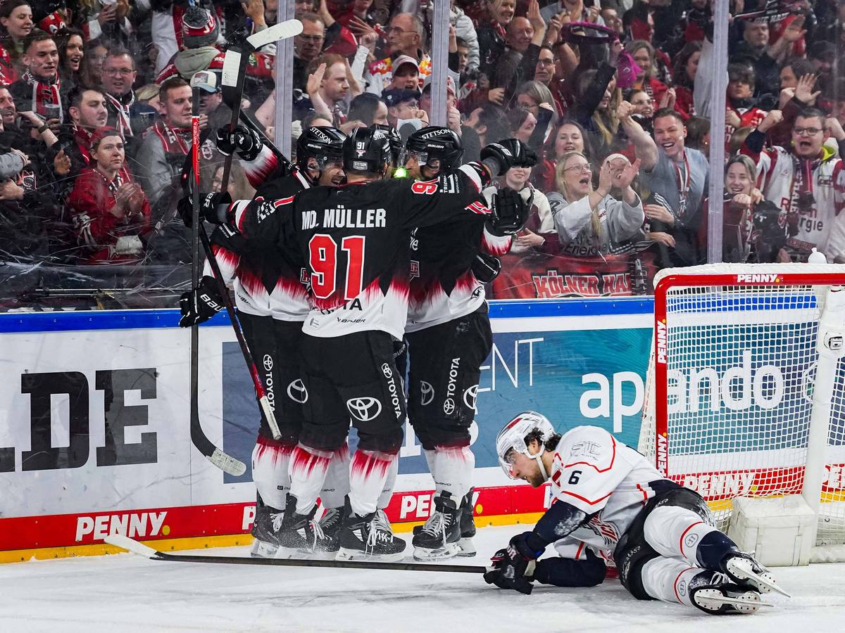 Die Spieler der Kölner Haie jubeln über ein Tor.