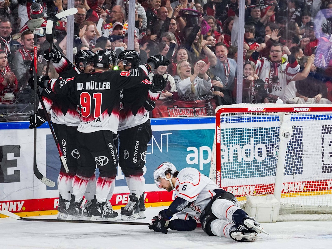 Die Spieler der Kölner Haie jubeln über ein Tor.