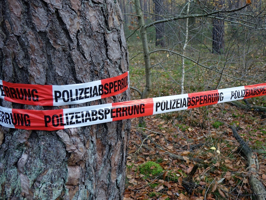 Baumstamm mit Polizeiabsperrung im Wald