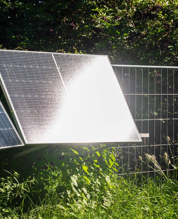 Zwei Solarmodule in grüner Umgebung bei Sonne
