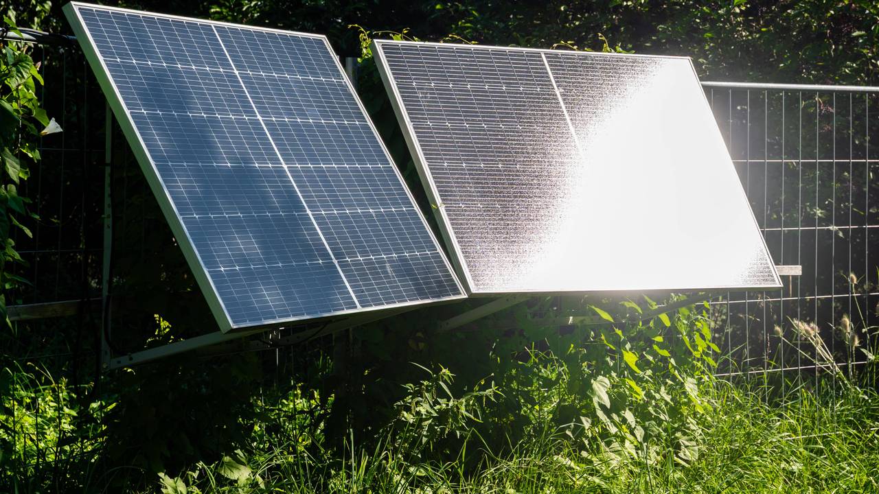 Zwei Solarmodule in grüner Umgebung bei Sonne