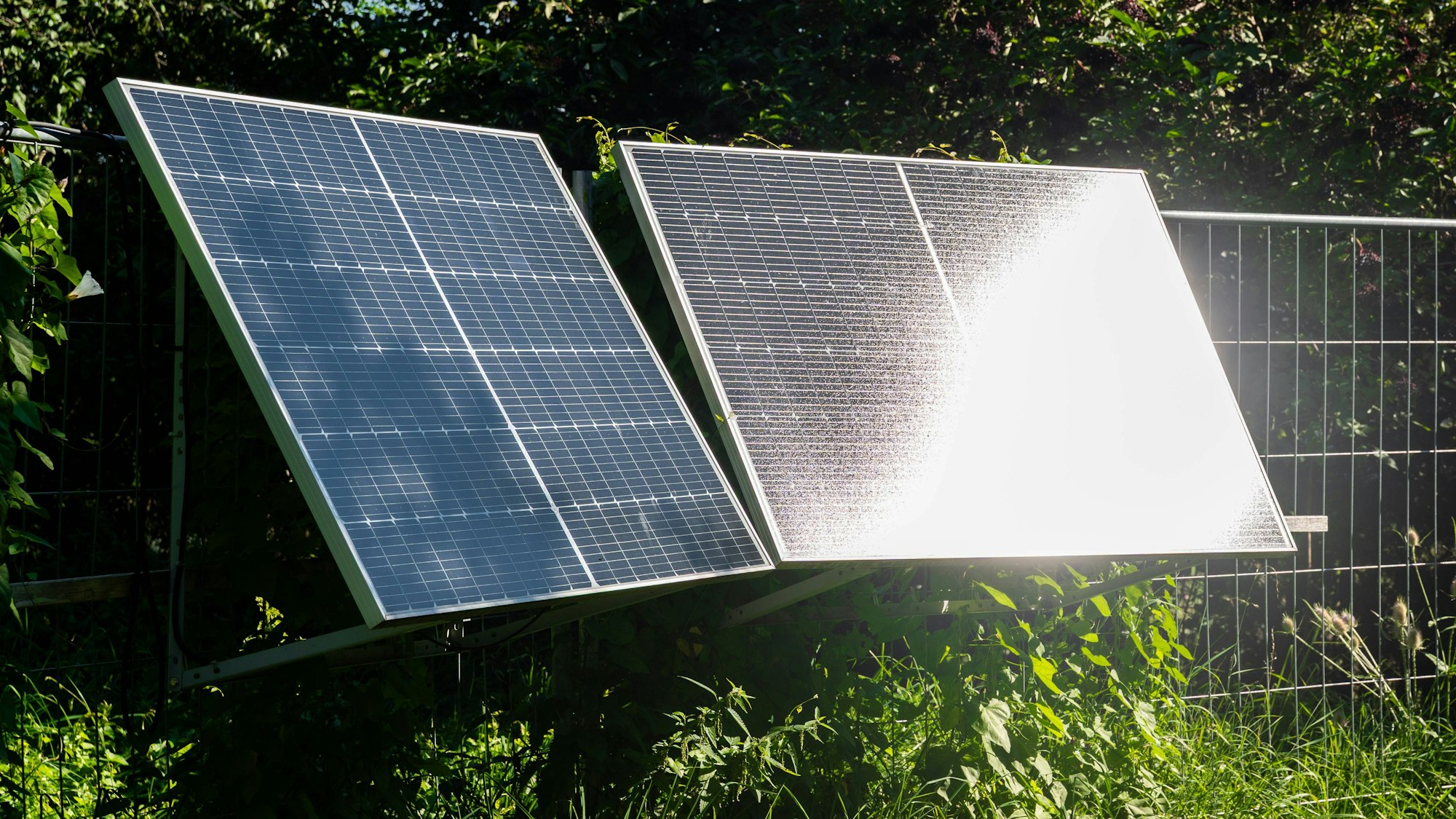 Zwei Solarmodule in grüner Umgebung bei Sonne