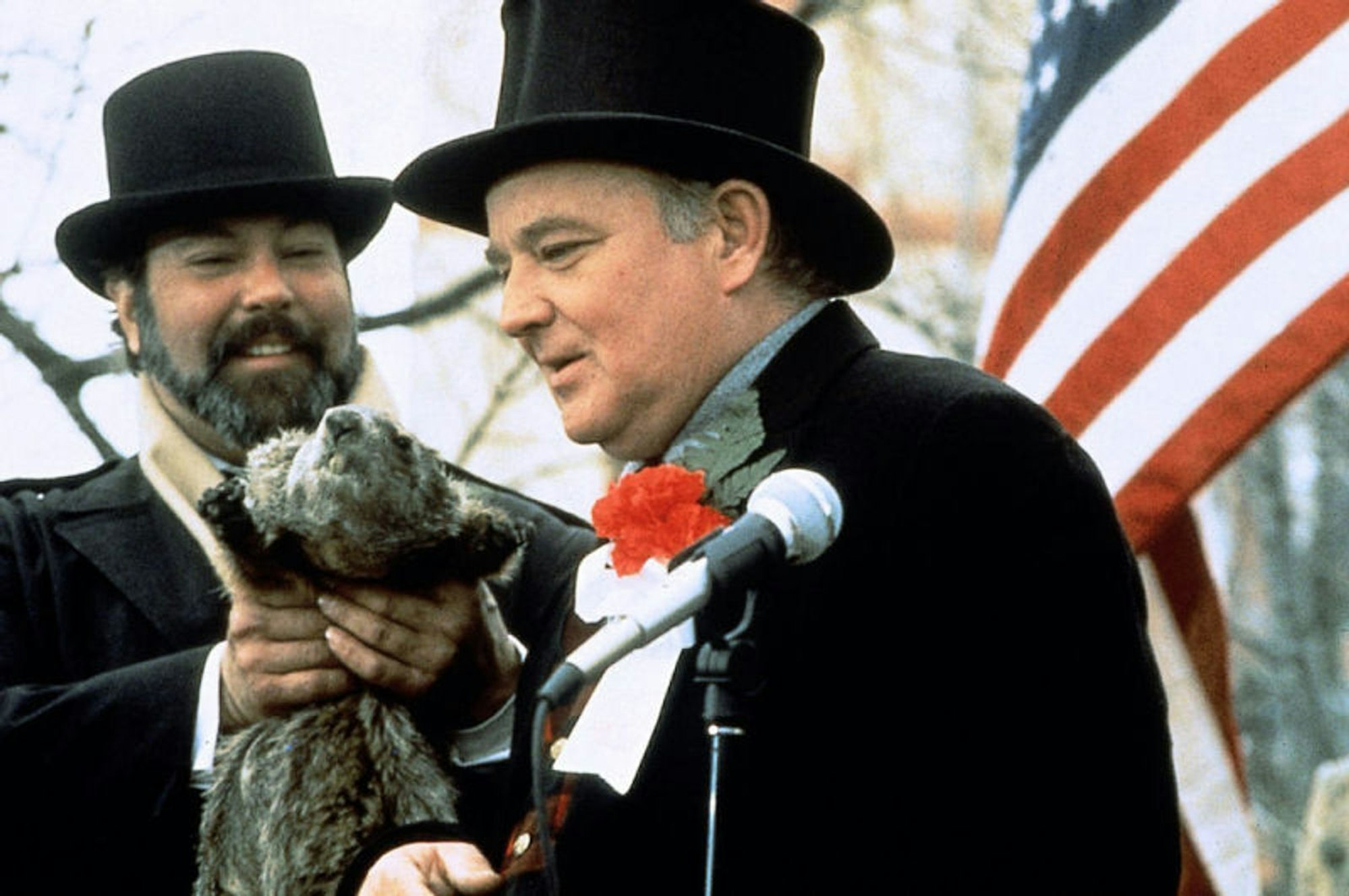 Die ganze Aufregung dreht sich um ihn: Murmeltier Phil sagt angeblich das Wetter voraus. (Bild: Columbia TriStar Pictures)