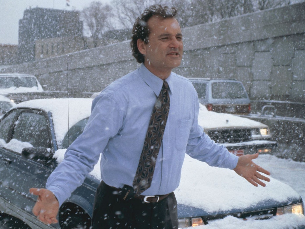 Verzweifelt: Phil Connors muss in „Und täglich grüßt das Murmeltier“ immer wieder den 2. Februar durchleben. (Bild: ZDF/© Columbia Pictures Industries, Inc. All Rights Reserved.)