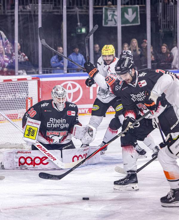 Die Kölner Haie mussten am Dienstag (27. Januar) gegen die Löwen Frankfurt ran.