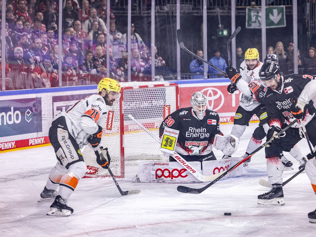 Die Kölner Haie mussten am Dienstag (27. Januar) gegen die Löwen Frankfurt ran.
