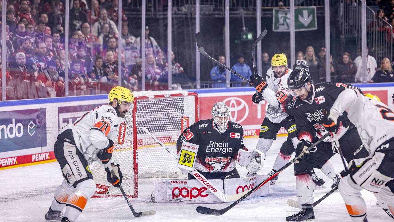 Die Kölner Haie mussten am Dienstag (27. Januar) gegen die Löwen Frankfurt ran.