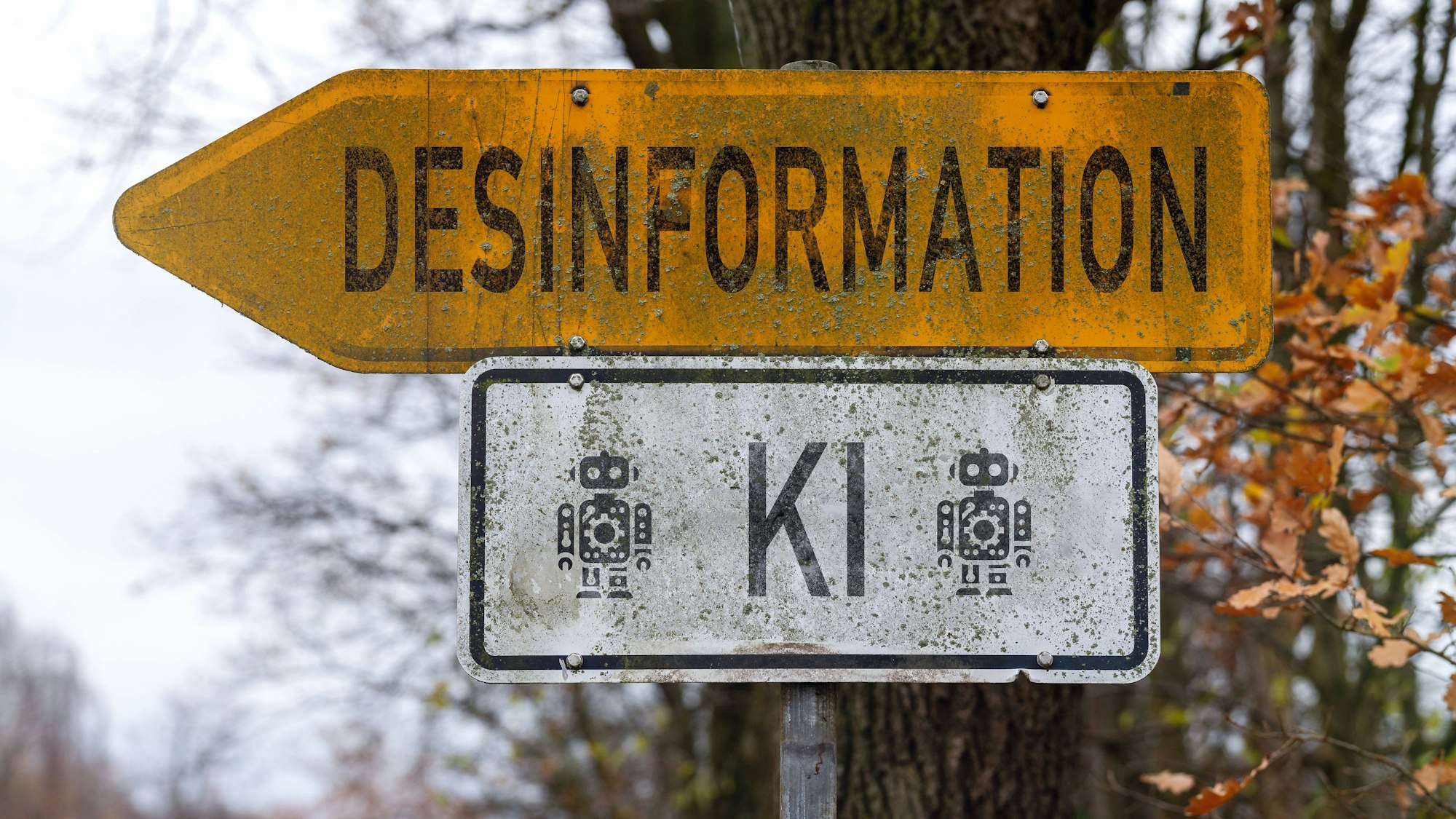 Wegweiser mit Aufschrift „Desinformation“ und „KI“