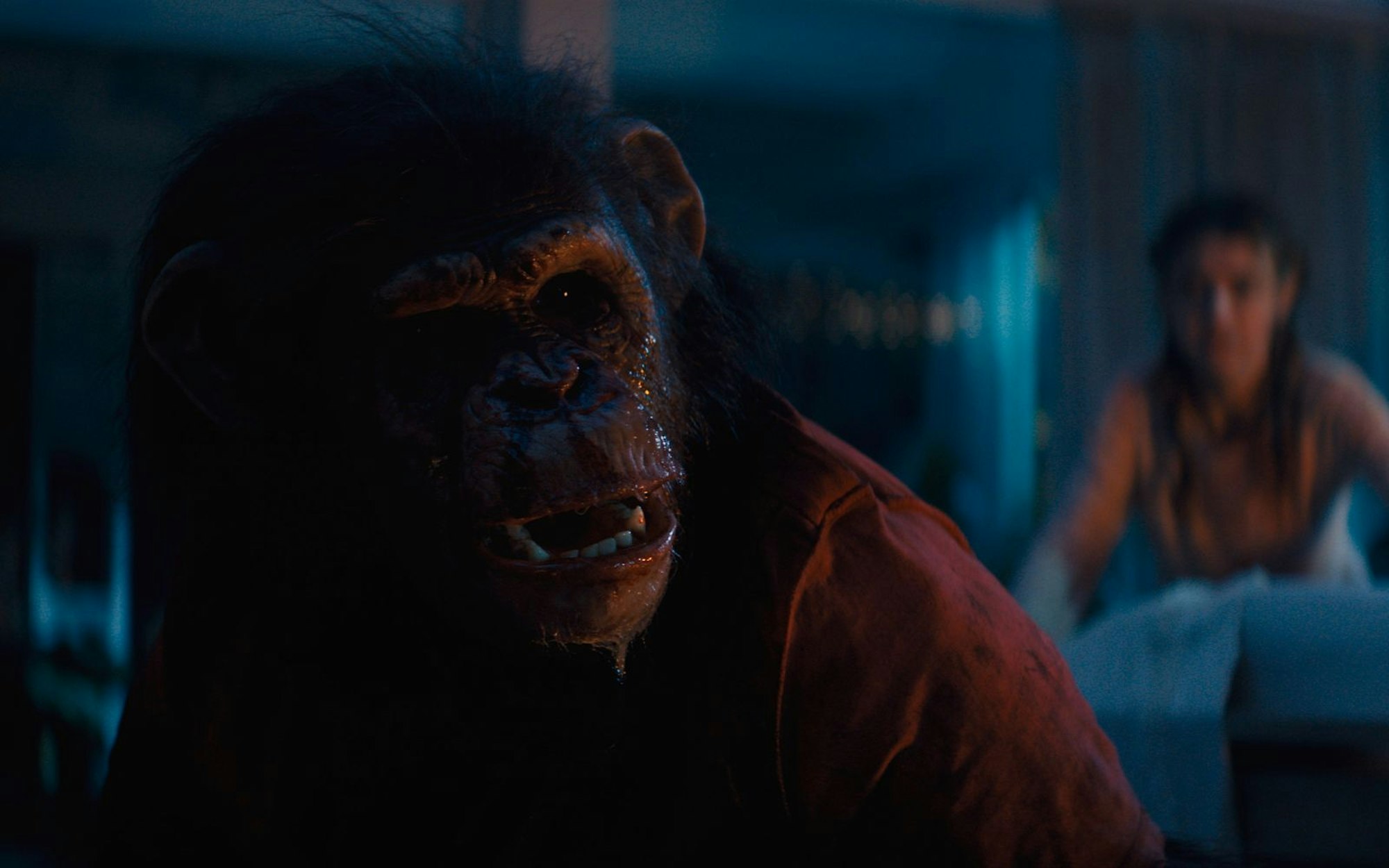 Zu Beginn des Films wirkt er noch ganz „süß“, doch im Verlauf des Horrorfilms „Primate“ wird der Affe Ben zum blutrünstigen Monster. (Bild: 2026 Paramount Pictures/Des Willie)