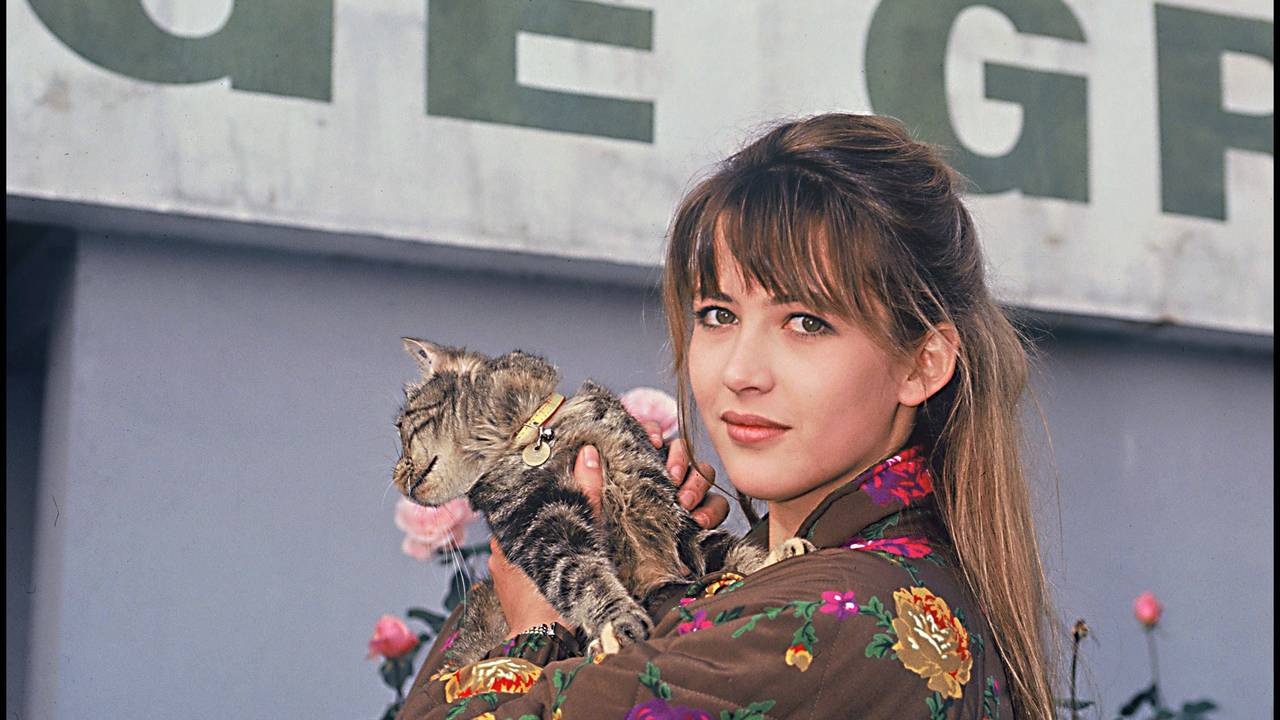 Sophie Marceau mit einer Katze.