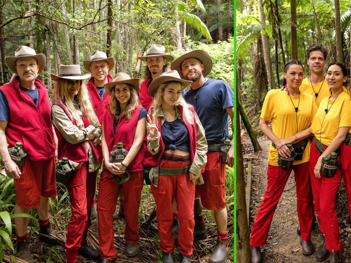 Hardy Krüger jr. (l-r), Mirja du Mont, Patrick Romer, Eva Benetatou, Gil Ofarim, Ariel, Umut Tekin, Simone Ballack, Stephen Dürr, Samira Yavuz, Nicole Belstler-Boettcher, Hubert Fella waren die Kandidatinnen und Kandidaten der RTL-Realityshow „Ich bin ein Star - Holt mich hier raus!“.