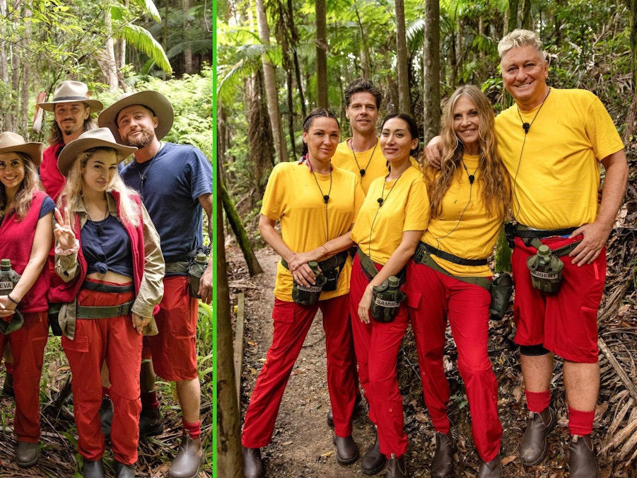 Wer der zwölf Kandidatinnen und Kandidaten macht im Dschungelcamp das Rennen?