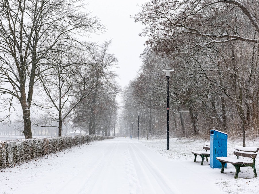 Verschneiter Parkweg mit Bäumen und Bänken
