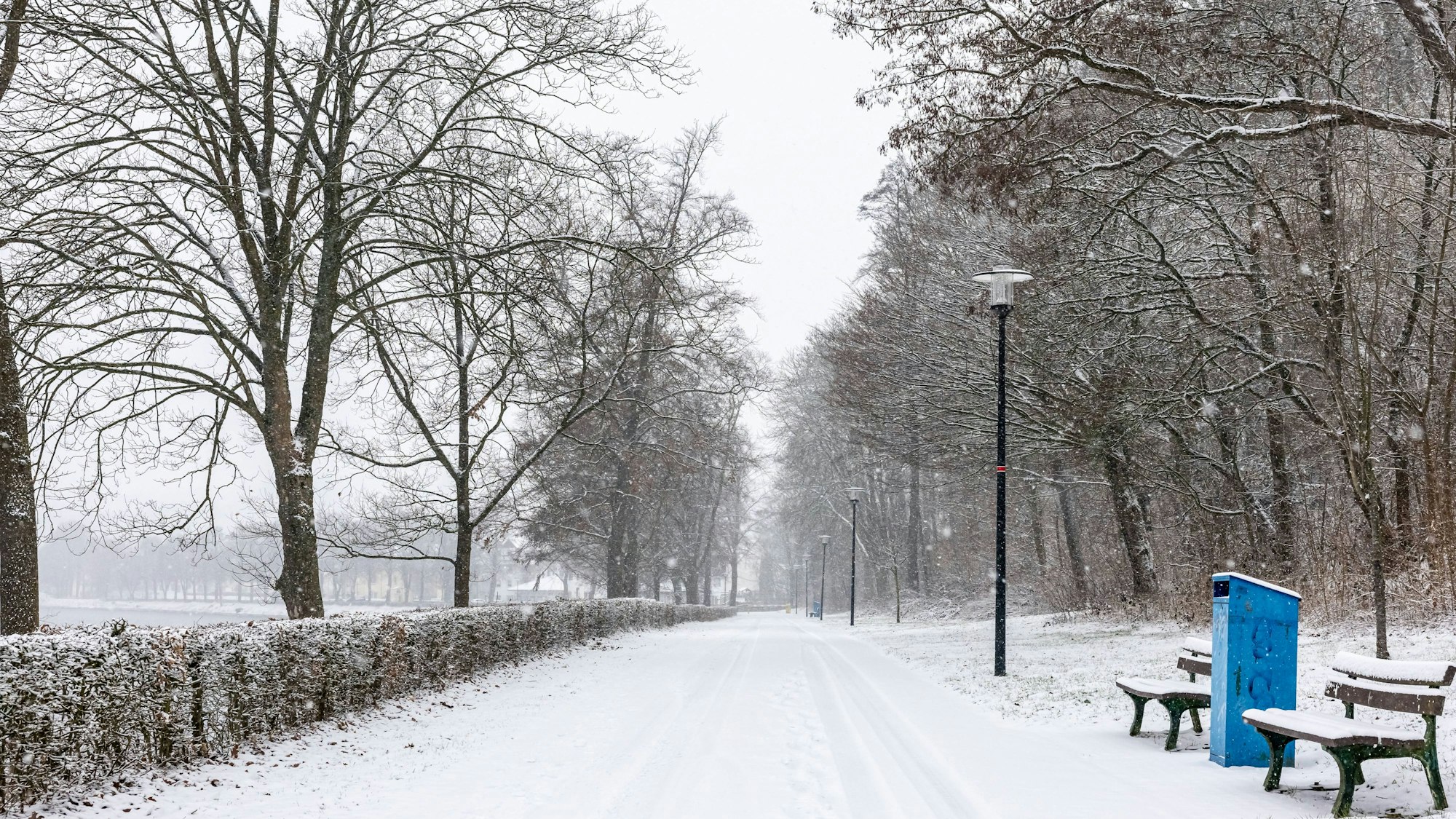 Verschneiter Parkweg mit Bäumen und Bänken