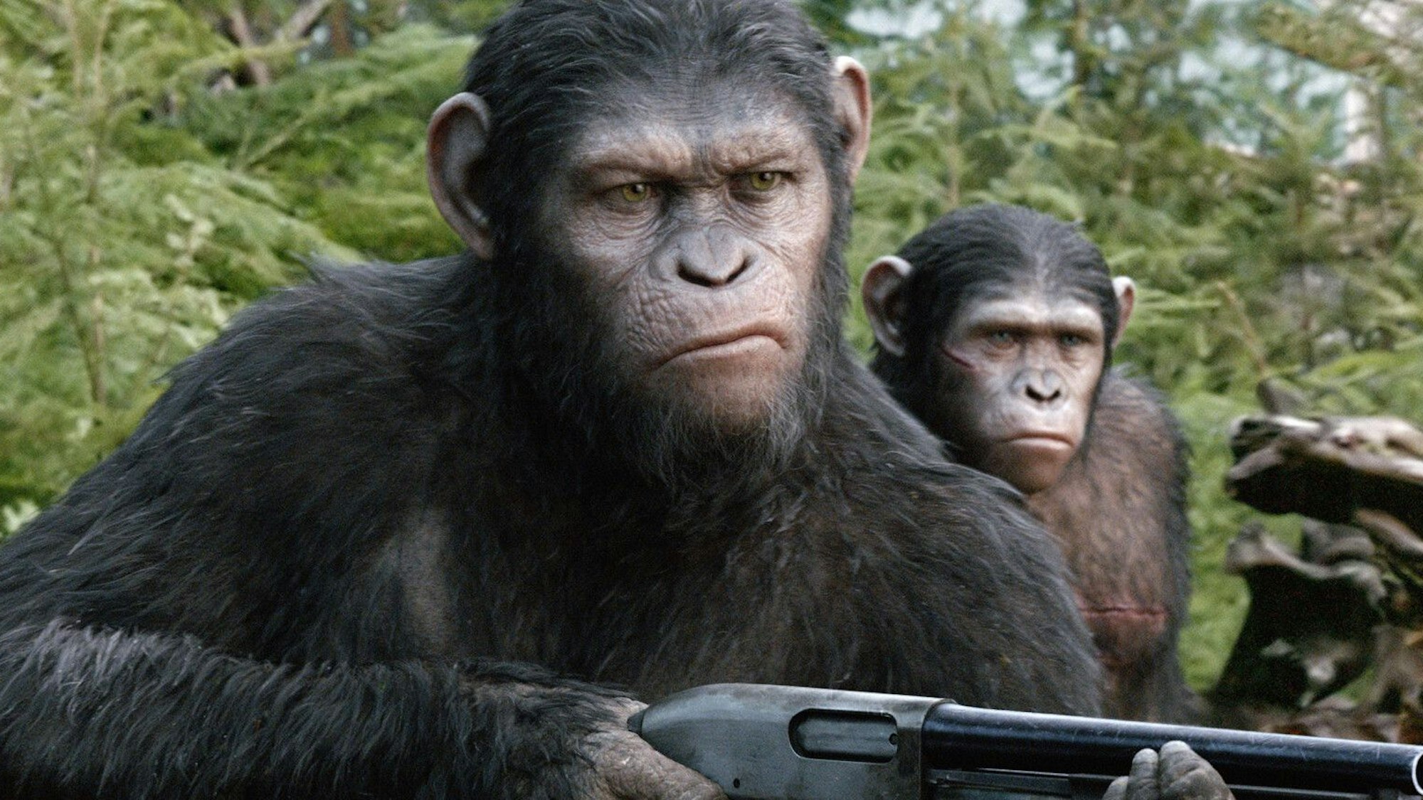 Zwei Affenfiguren halten Gewehre in den Händen und schauen grimmig.