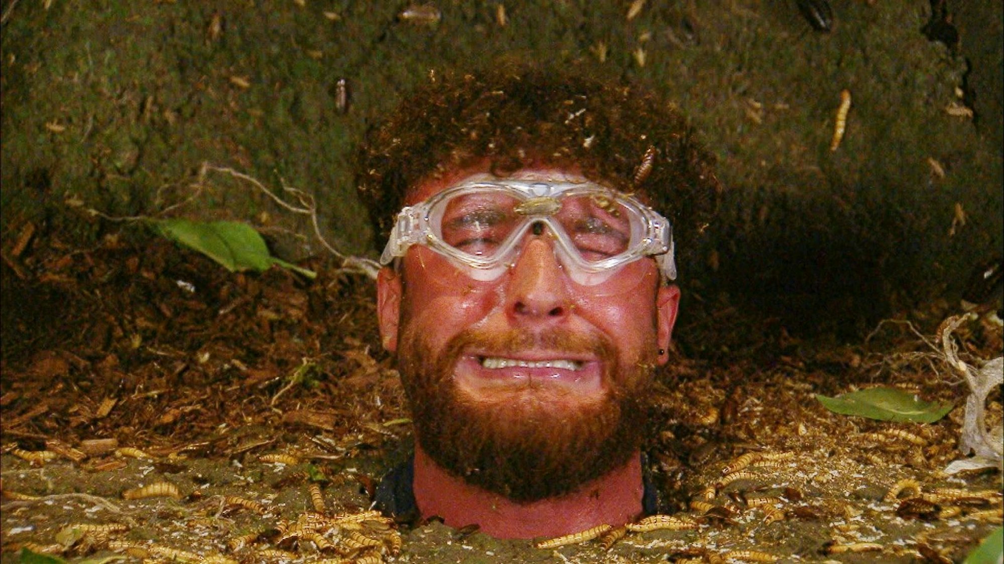 „Mein Auge, mein Auge, die beißen, die beißen!“: Umut brach, von Ameisen geplagt, in Tränen und panisches Gekreisch aus. (Bild: RTL)