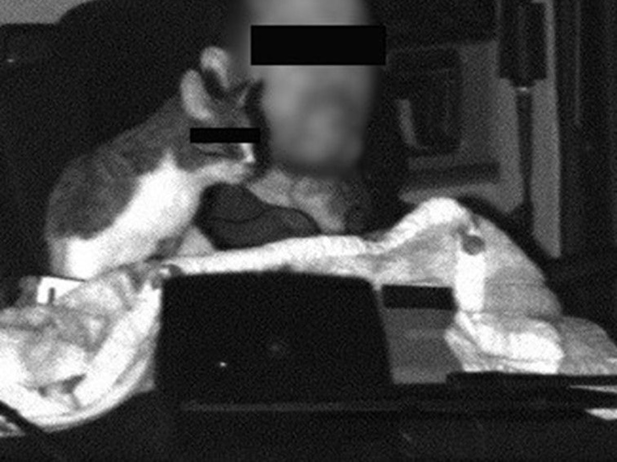 Ein Mann sitzt am Steuer eines Lkw, direkt neben ihm hockt eine Katze.