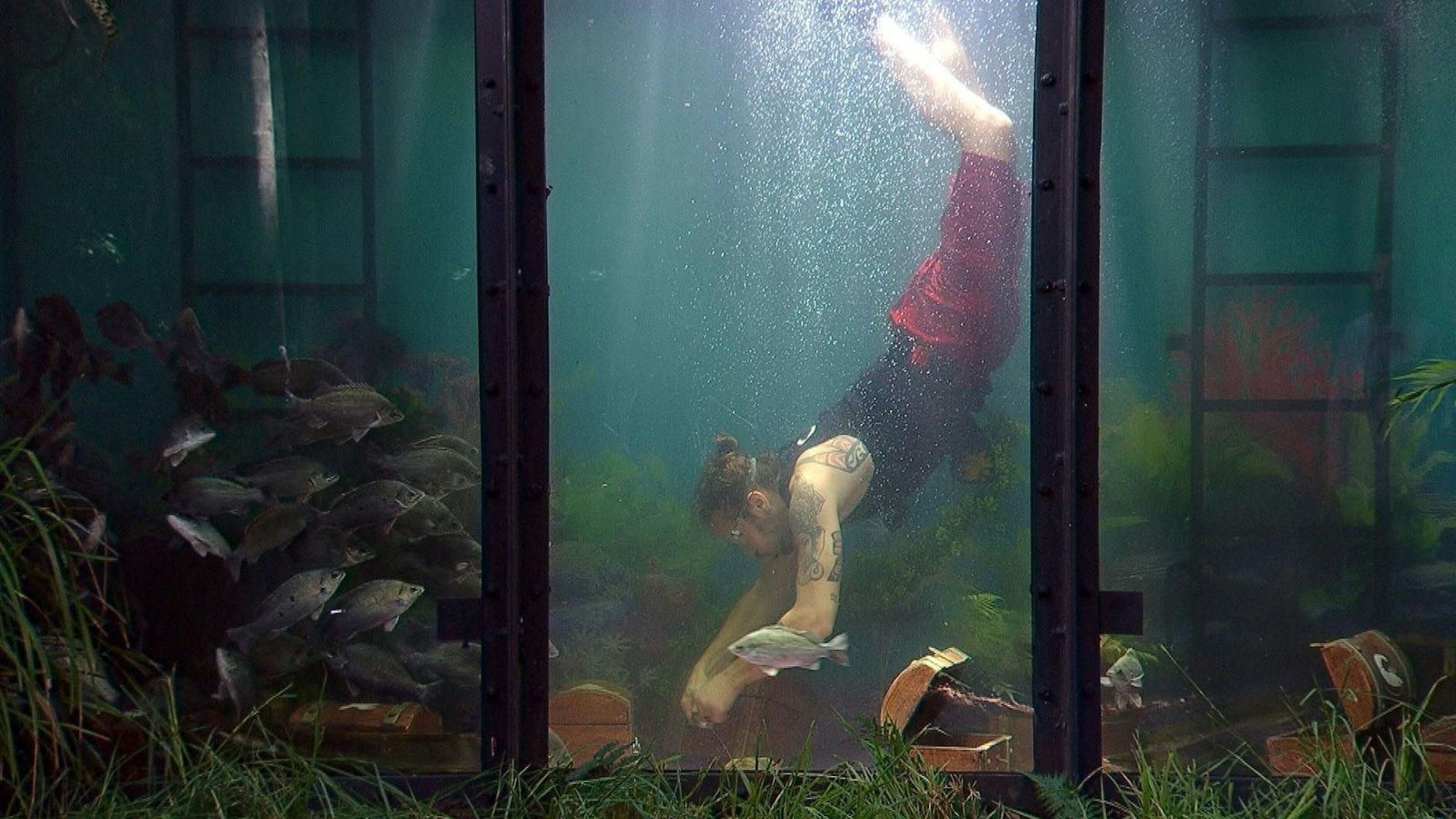 Gil Ofarim muss eine Dschungelprüfung in einem riesigen Aquarium antreten. (Bild: RTL)