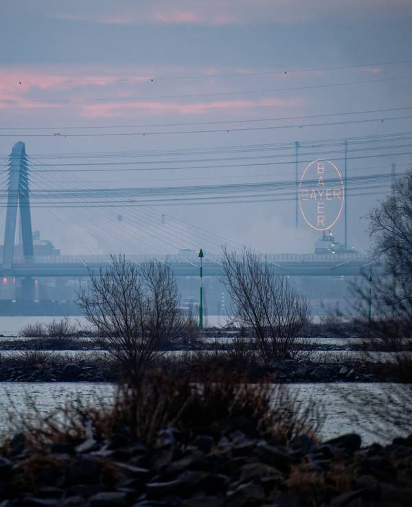 Der morgentliche Himmel leuchtet über dem Rhein orange.