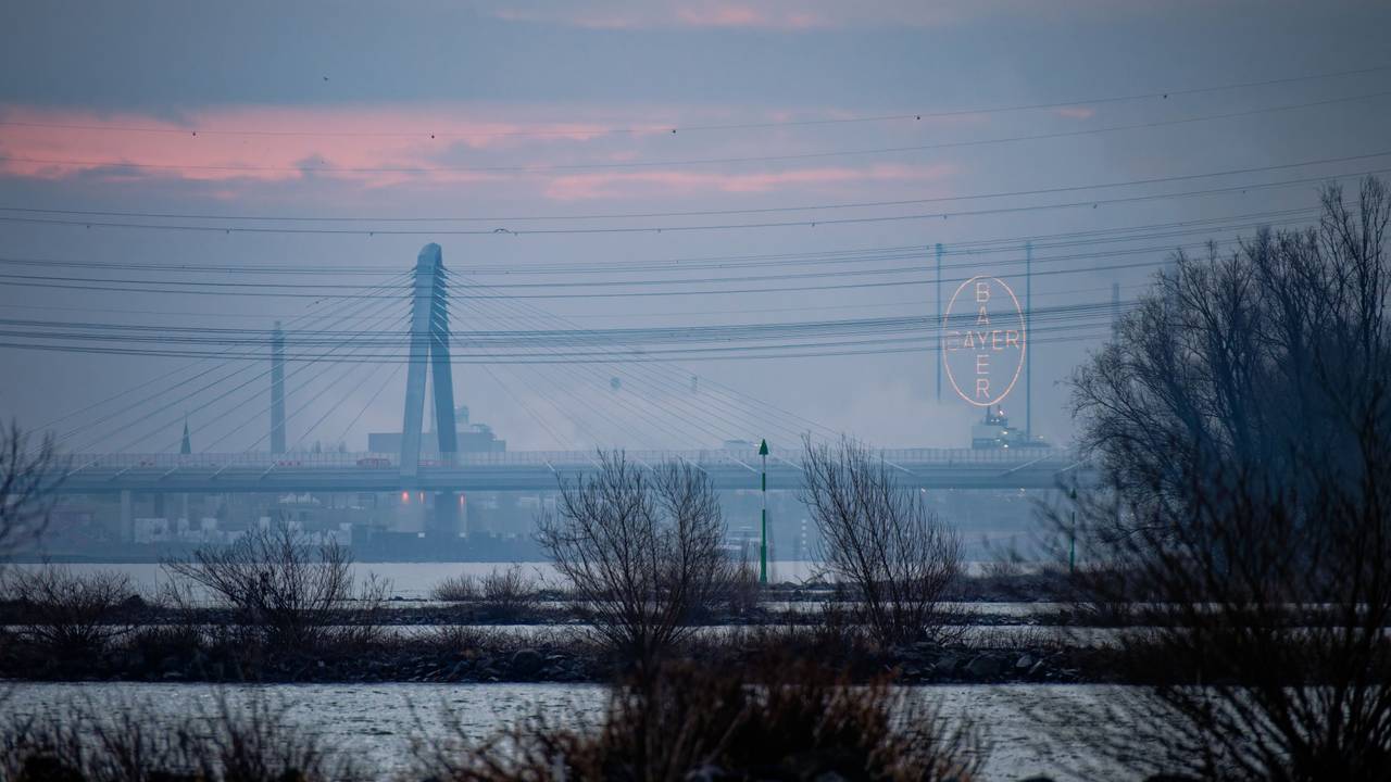 Der morgentliche Himmel leuchtet über dem Rhein orange.