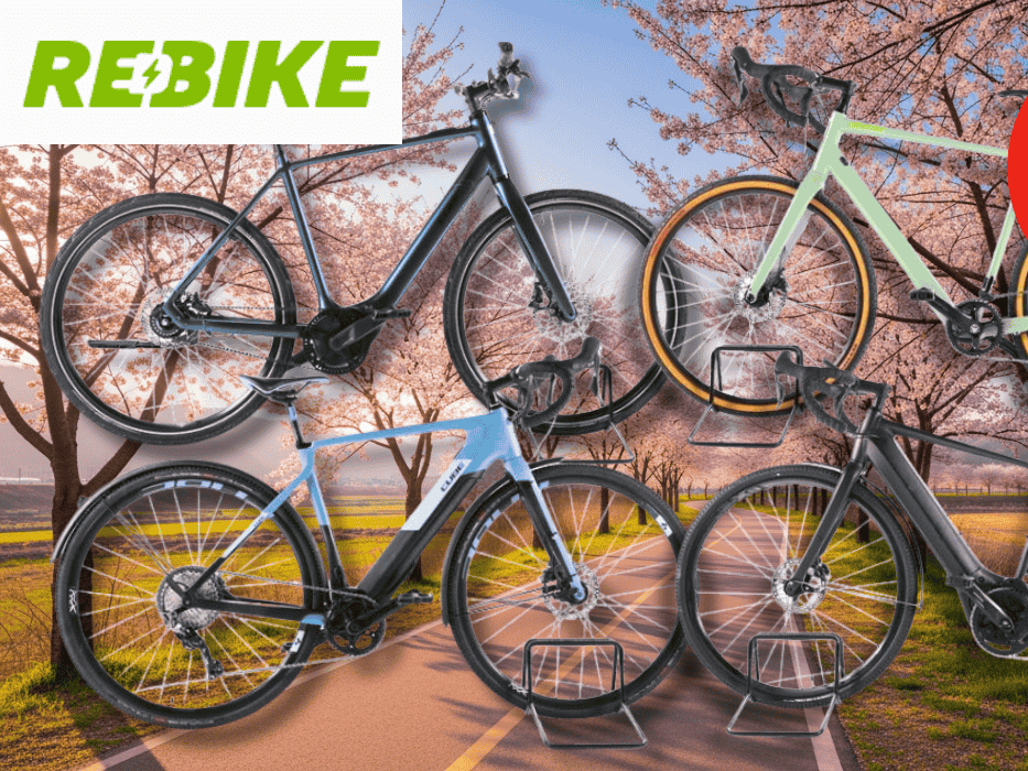 4 Verschiedene Gravel E-Bikes vor einem blühenden Radweg.