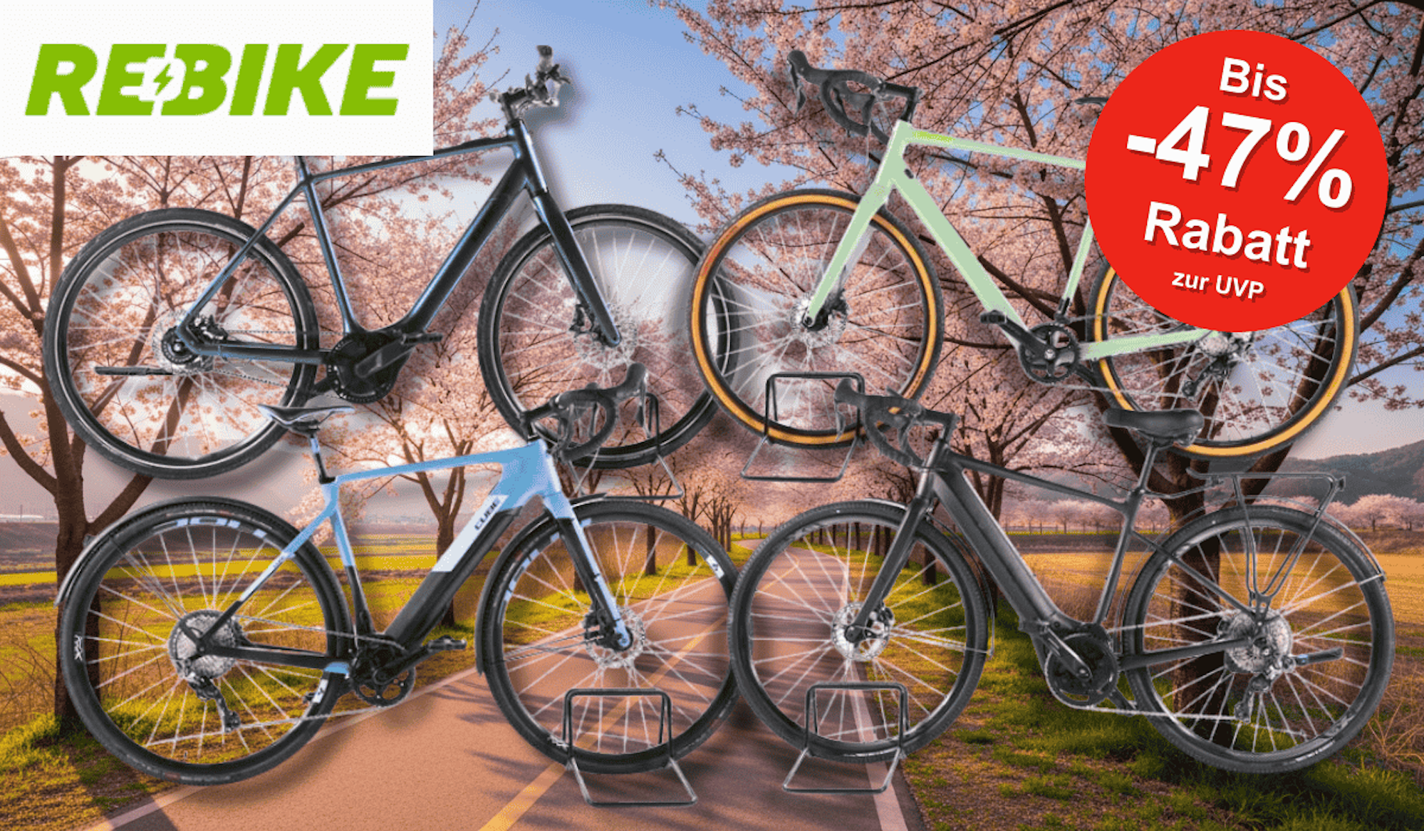 4 Verschiedene Gravel E-Bikes vor einem blühenden Radweg.