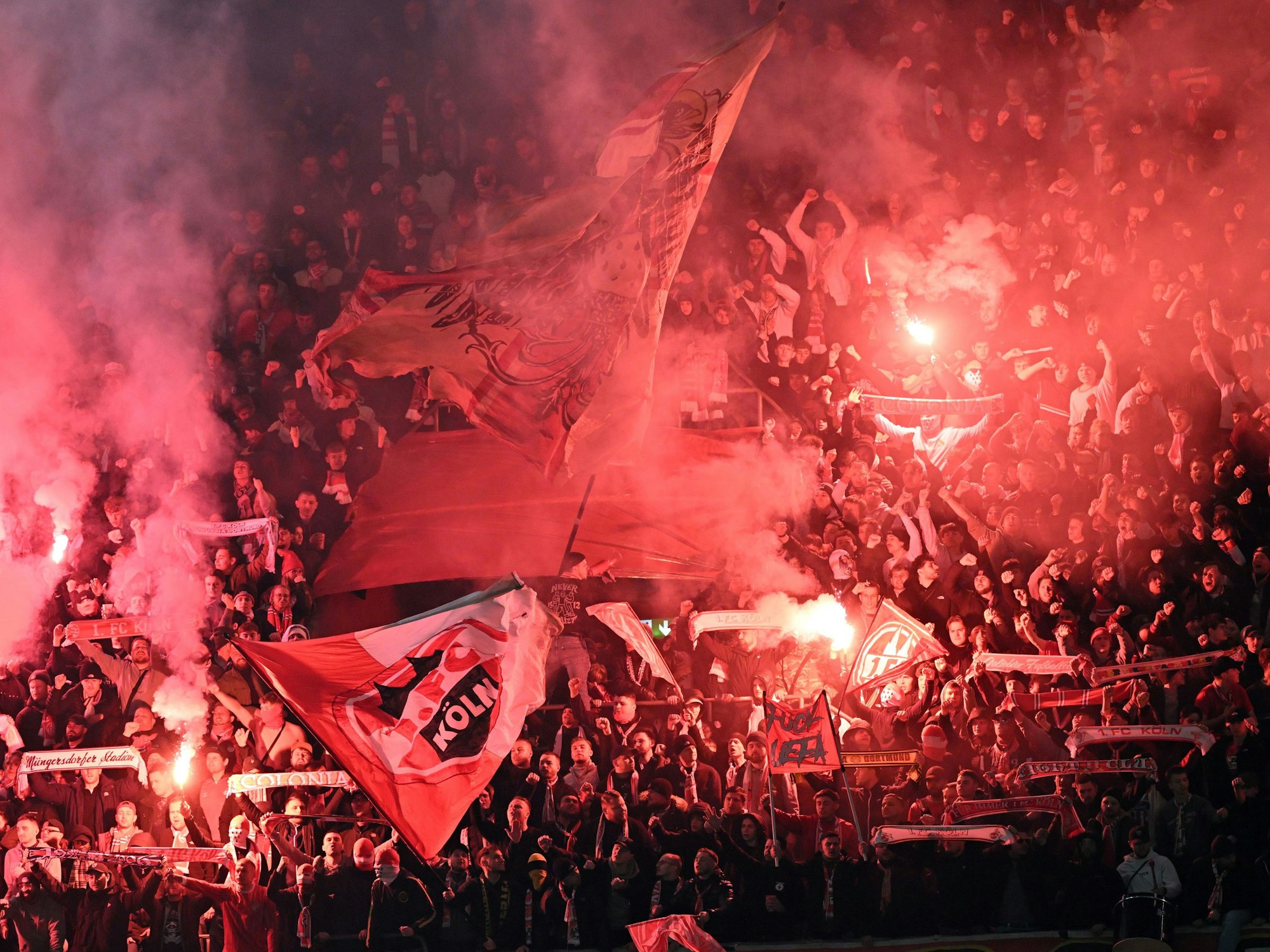 Fans des 1. FC Köln machen Stimmung auf den Rängen während der Youth-League-Partie gegen Inter Mailand.