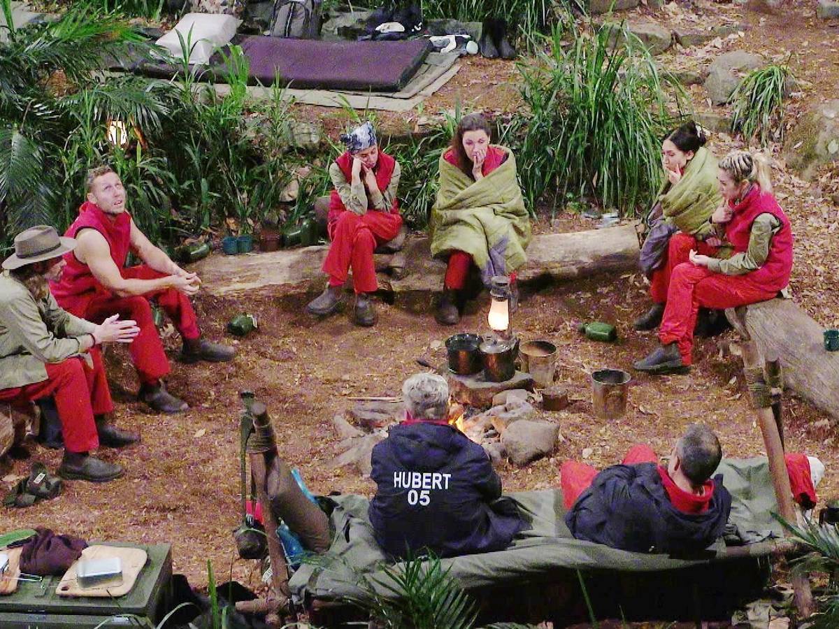 Acht Stars sitzen um das Lagerfeuer im RTL-Dschungelcamp