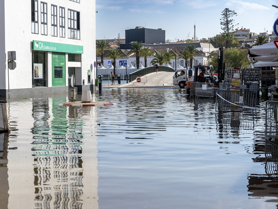 Überflutete Straße, Gebäude, Palmen, Brücke
